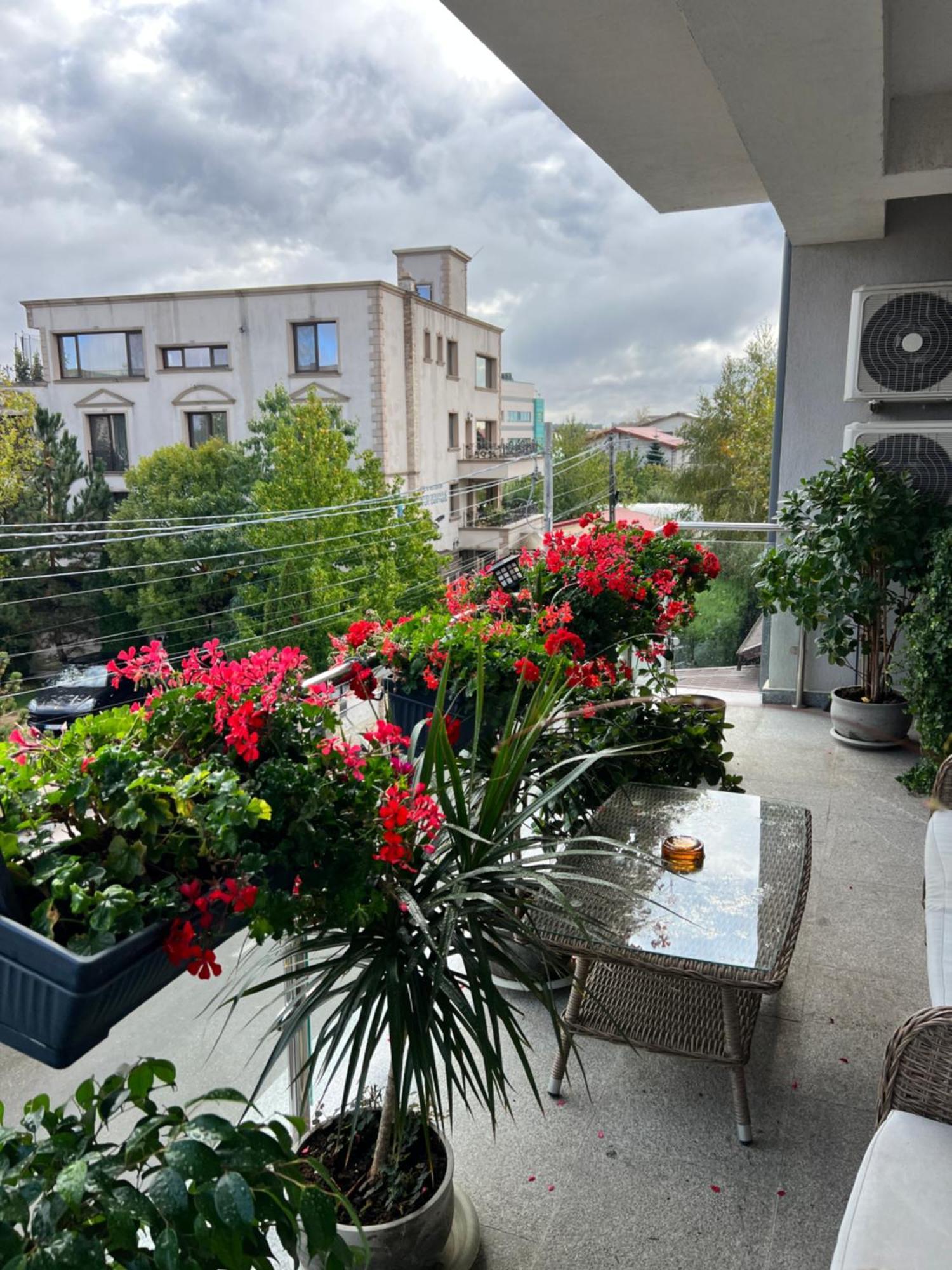 Aviator Boutique Apartment Otopeni