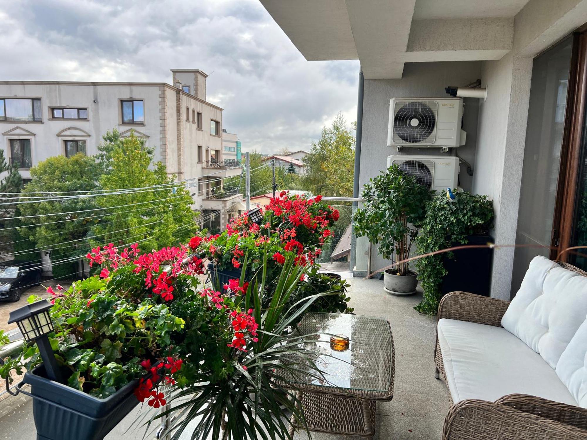 Aviator Boutique Apartment