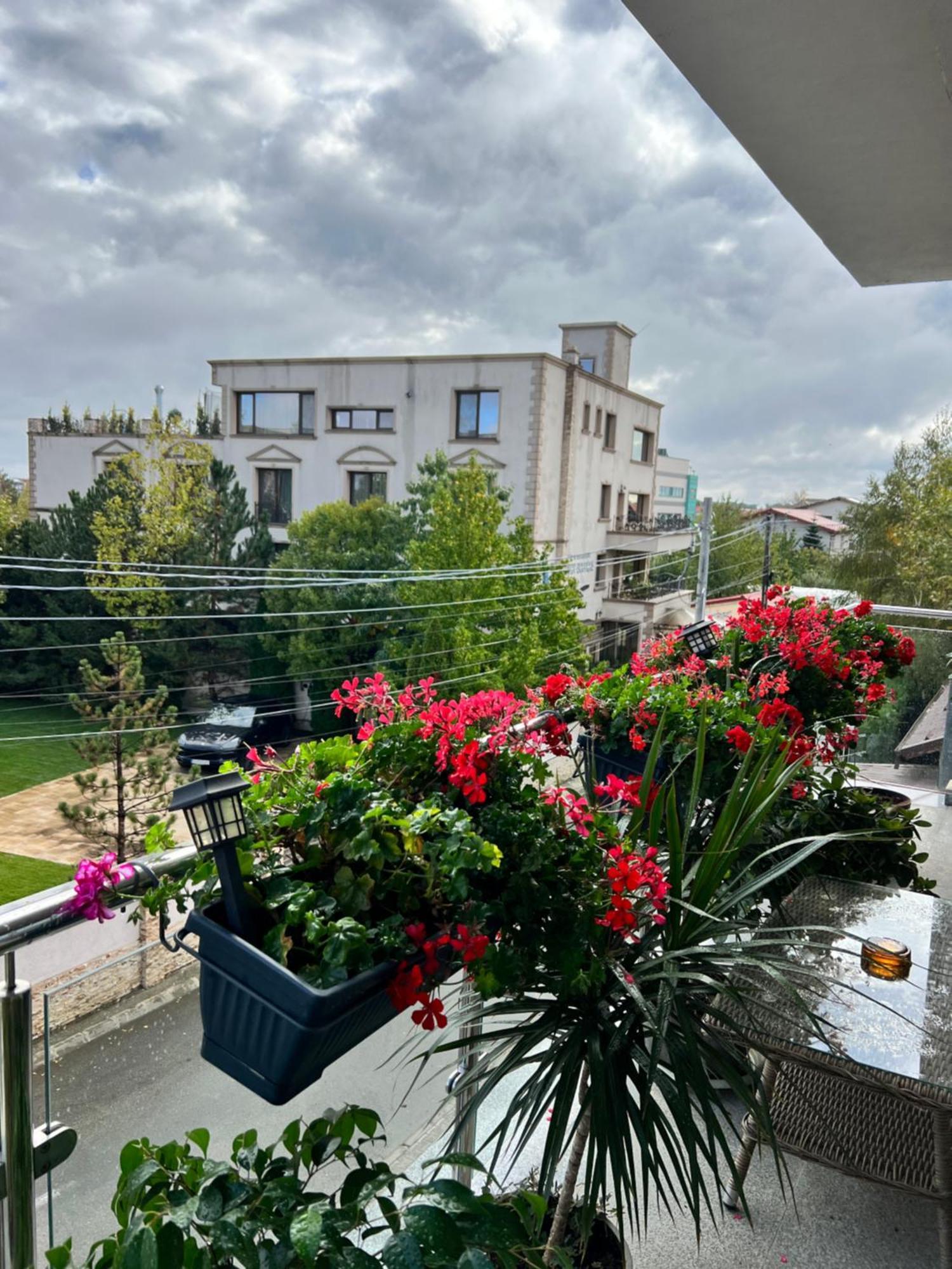 Apartment Aviator Boutique Otopeni