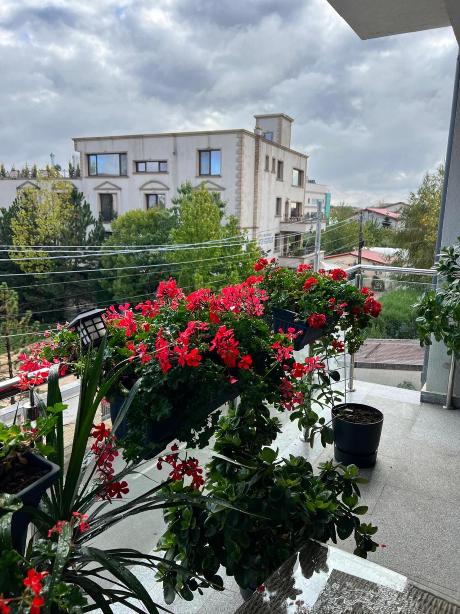 Apartment Aviator Boutique Otopeni