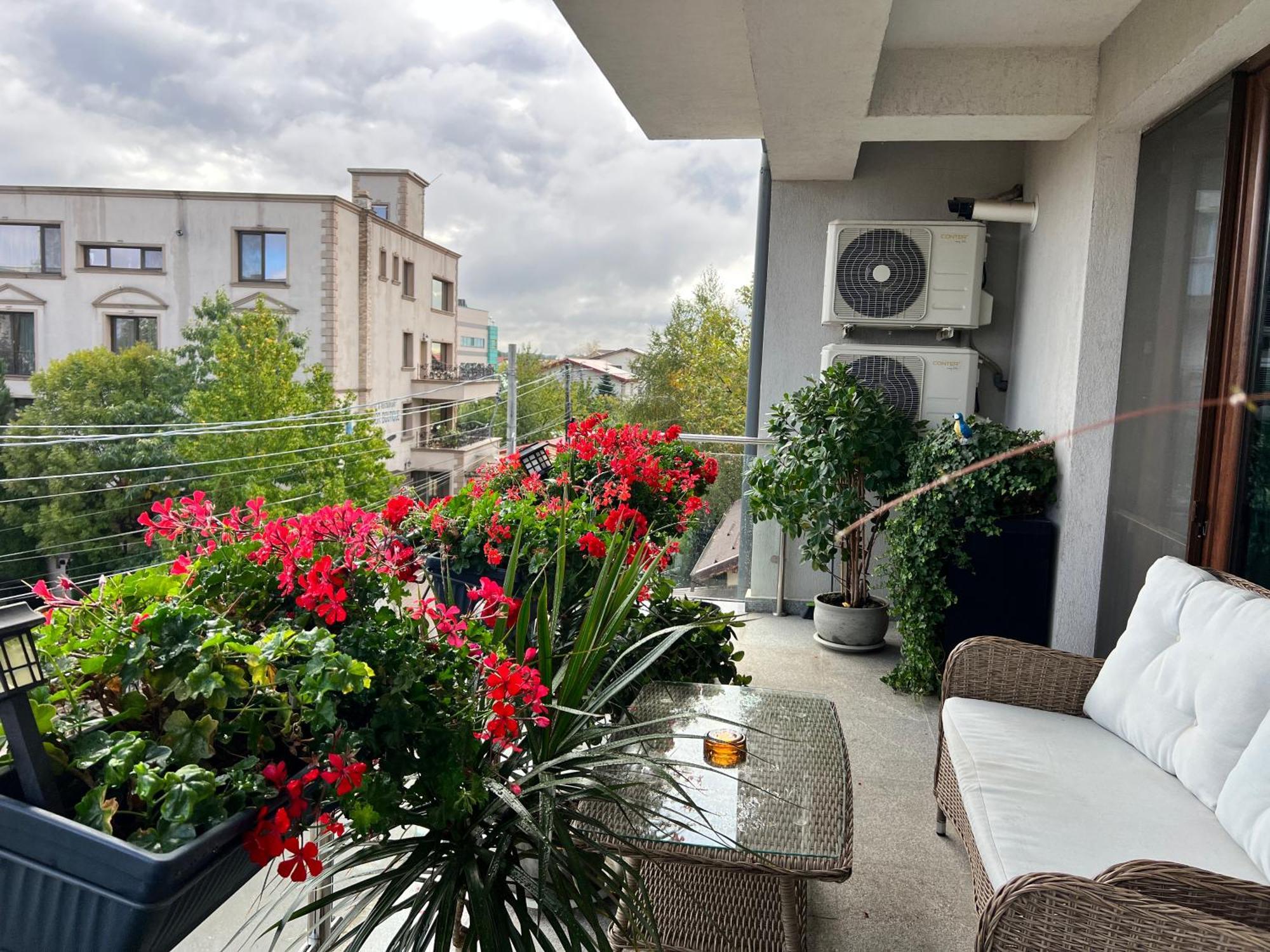 Aviator Boutique Apartment *