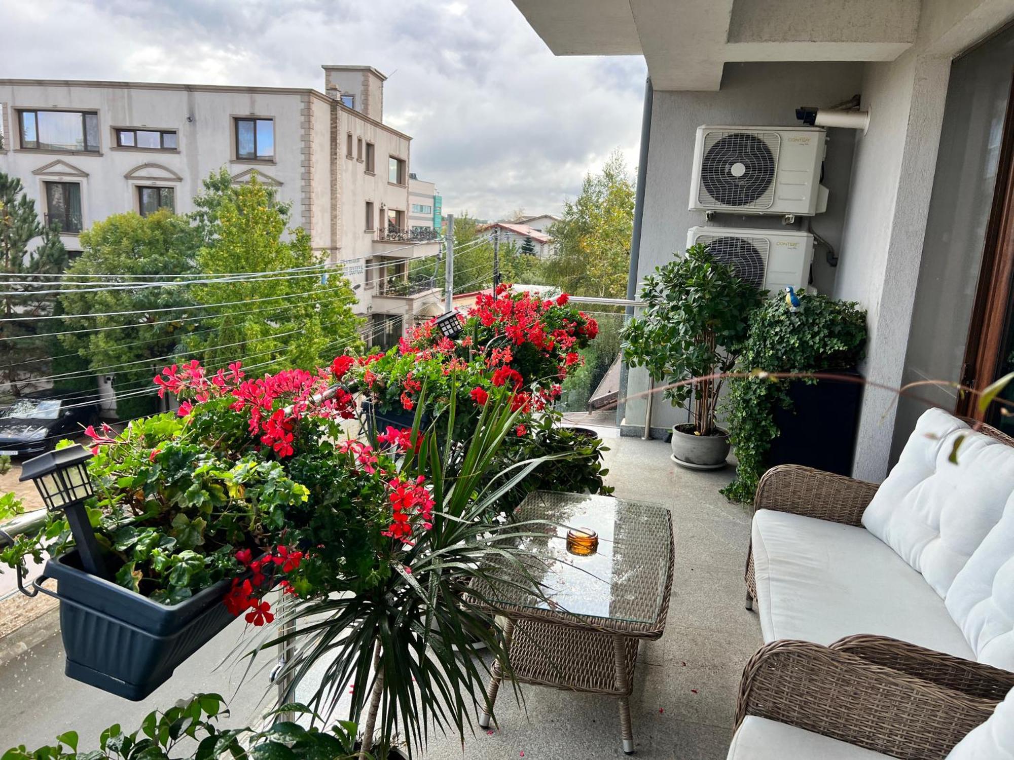 Apartment Aviator Boutique Otopeni