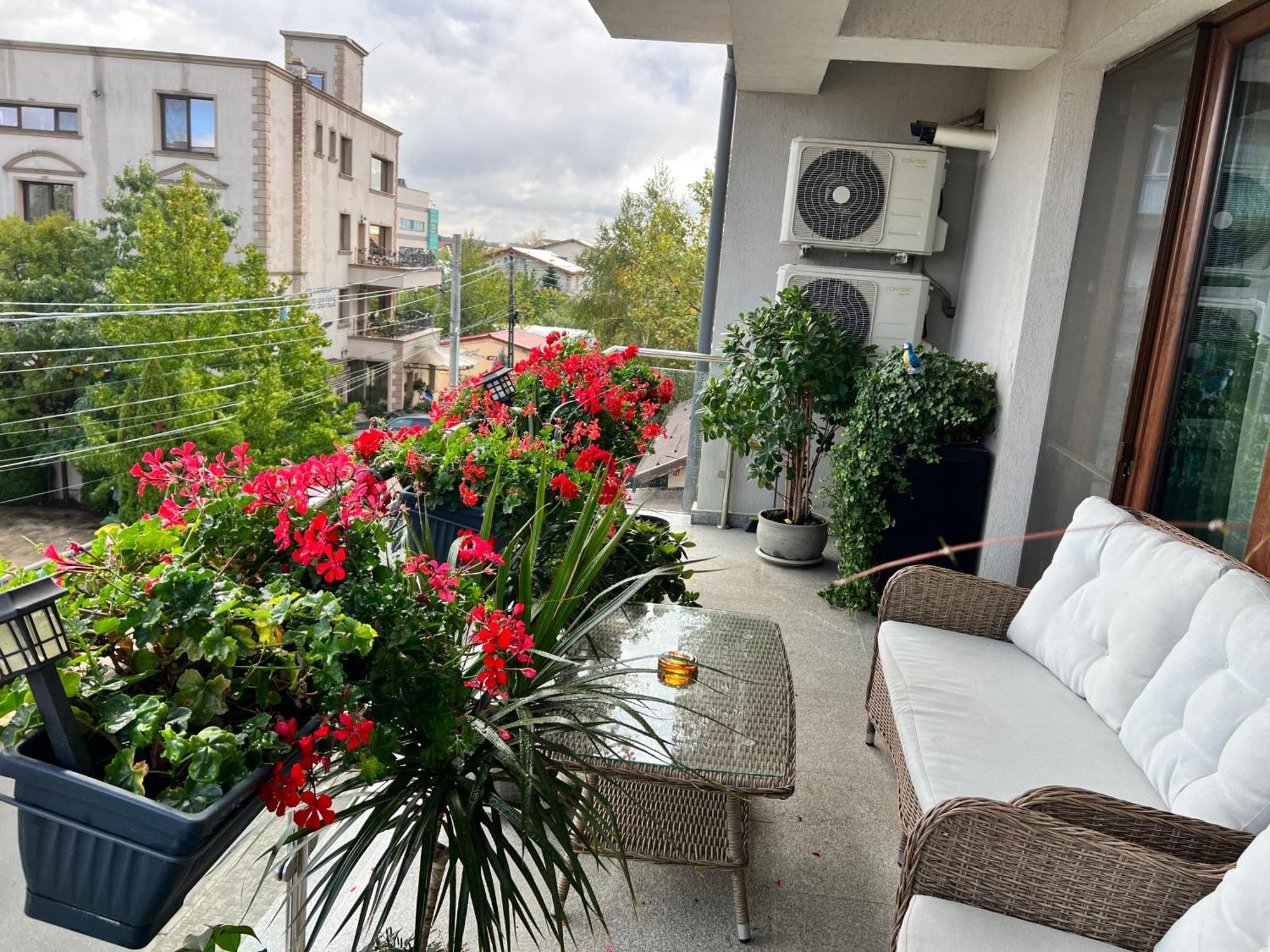 Apartment Aviator Boutique